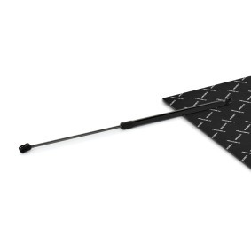 Acquista Ammortizatore pneumatico, Cofano bagagli / vano carico da RIDEX 219G1152 a buon mercato per soli 19,53 €