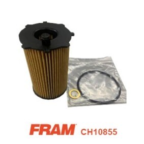 Compre Filtro de óleo da FRAM CH10855 a um preço baixo por 20,17 €