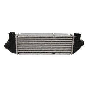 Acquista Intercooler da FAST FT55590 a buon mercato per soli 89,37 €