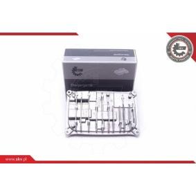 Compre Módulo de comando, iluminação da ESEN SKV 59SKV049 a um preço baixo por 200,86 €