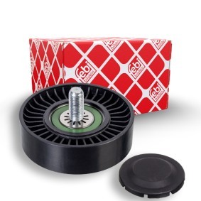 Achetez des Poulie renvoi / transmission, courroie trapézoïdale à nervures de chez FEBI BILSTEIN en ligne pour Bongo III Minibus à prix modérés
