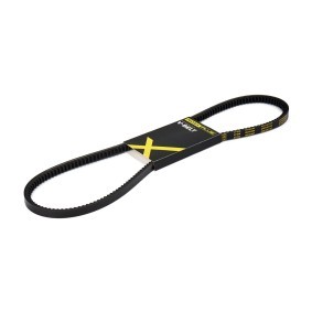 Acquista Cinghia trapezoidale da RIDEX PLUS 10C0030P a buon mercato per soli 8,01 €