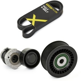 Compre Jogo de correias trapezoidais estriadas da RIDEX PLUS 542R0105P a um preço baixo por 88,62 €