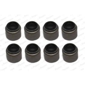 Comprar Juego de juntas, vástago de válvula de PAYEN HR5153 a bajo precio de 10,87 €