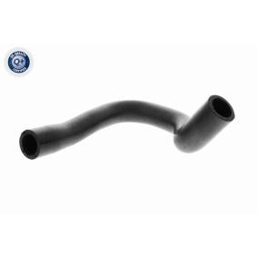 Compre Tubo flexível, respiro do cárter da cambota da VAICO V24-1291 a um preço baixo por 12,42 €