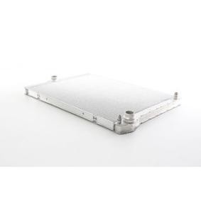 Compre Radiador, arrefecimento do motor da BSG BSG 15-520-044 a um preço baixo por 301,25 €
