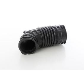 Osta Imuputki, ilmansuodatin BSG:llä BSG 30-705-080 edullisesti hintaan 79,64 €