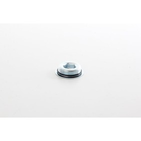 Acquista Tappo filettato, alloggiamento monoblocco da BSG BSG 60-122-007 a buon mercato per soli 29,36 €