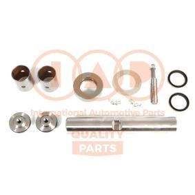 Reparatursatz, Achsschenkelbolzen 415-13151K RENAULT von IAP QUALITY PARTS