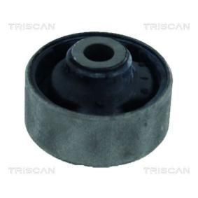 Compre Suspensão, braço oscilante da TRISCAN 8500 21800 a um preço baixo por 9,94 €