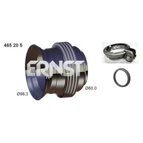 Compre Tubo de reparação, catalisador da ERNST 465205 a um preço baixo por 113,28 €