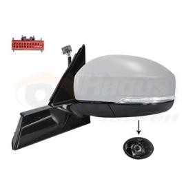 Außenspiegel 0262807 von VAN WEZEL günstig für 379,28 € online kaufen