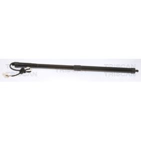 Heckklappendämpfer 8710 40301 von TRISCAN günstig für 273,13 € online kaufen
