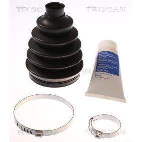 Acquista Kit cuffia, semiasse da TRISCAN 8540 13809 a buon mercato per soli 21,45 €
