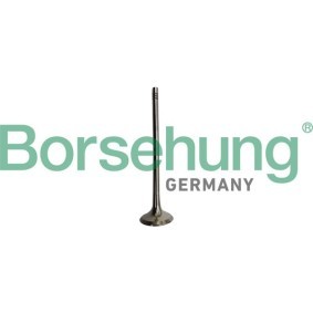 Acquista Valvola di scarico da Borsehung B10335 a buon mercato per soli 21,43 €