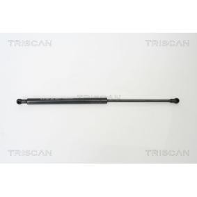 Motorhaubendämpfer für VW von TRISCAN
