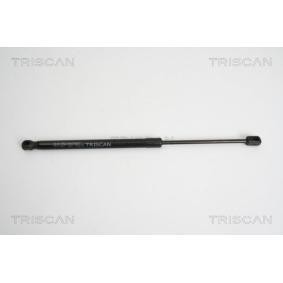 Heckklappendämpfer 8710 10207 von TRISCAN günstig für 29,88 € online kaufen