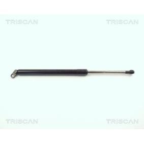 Heckklappendämpfer 8710 11209 von TRISCAN günstig für 29,43 € online kaufen