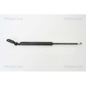 Heckklappendämpfer 8710 18215 von TRISCAN günstig für 29,07 € online kaufen