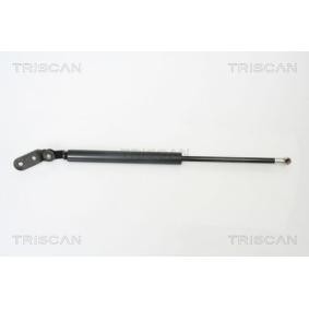 Heckklappendämpfer 8710 18216 von TRISCAN günstig für 37,84 € online kaufen