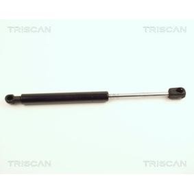 Heckklappendämpfer 8710 24214 von TRISCAN günstig für 29,79 € online kaufen