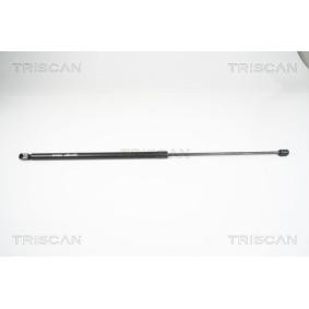 Motorhaubendämpfer für VW von TRISCAN