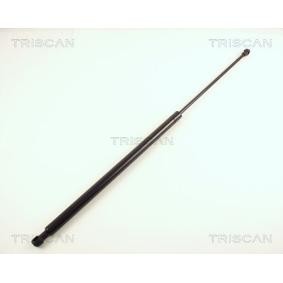 Heckklappendämpfer 8710 38212 von TRISCAN günstig für 59,05 € online kaufen