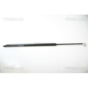 Heckklappendämpfer 8710 40222 von TRISCAN günstig für 27,79 € online kaufen