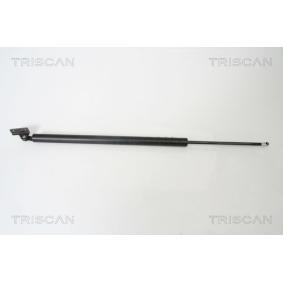 Compre Amortiguador de maletero de TRISCAN online para PORTER Caja/Chasis a precios moderados