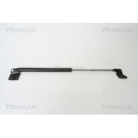 Heckklappendämpfer 8710 69216 von TRISCAN günstig für 32,73 € online kaufen