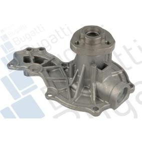 Köp Vattenpump av BUGATTI PA0319 till det låga priset 414,97 kr