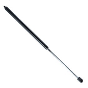 Motorhaubendämpfer EP10008GS von EINPARTS günstig für 12,75 € online kaufen