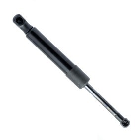 Heckklappendämpfer EP10017GS von EINPARTS günstig für 16,71 € online kaufen