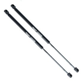 Heckklappendämpfer EP10117GS von EINPARTS günstig für 10,84 € online kaufen
