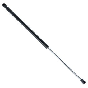 Heckklappendämpfer EP10120GS von EINPARTS günstig für 12,45 € online kaufen