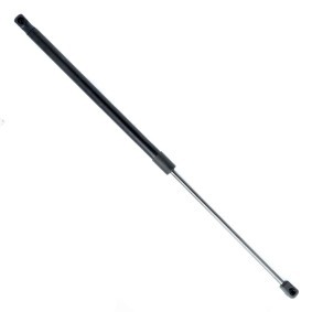 Heckklappendämpfer EP10387GS von EINPARTS günstig für 15,01 € online kaufen
