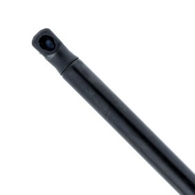 Heckklappendämpfer EP10389GS von EINPARTS günstig für 11,69 € online kaufen