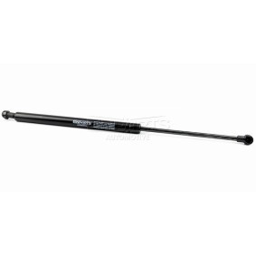 Heckklappendämpfer EP10417GS von EINPARTS günstig für 11,02 € online kaufen