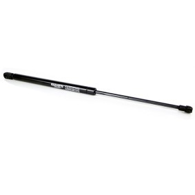 Comprar Amortiguador de maletero de EINPARTS EP10539GS a bajo precio de 12,29 €