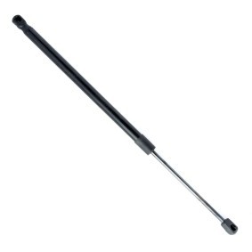 Comprar Amortiguador de maletero de EINPARTS EP10600GS a bajo precio de 15,21 €