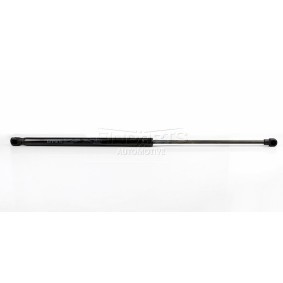 Heckklappendämpfer EP11015GS von EINPARTS günstig für 8,82 € online kaufen