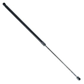 Motorhaubendämpfer für AUDI von EINPARTS