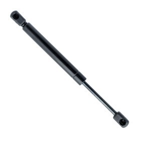 Heckklappendämpfer EP9117GS von EINPARTS günstig für 11,02 € online kaufen