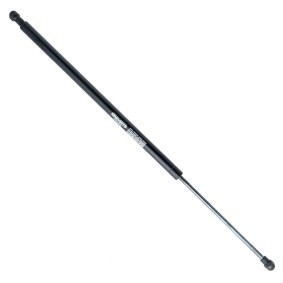 Heckklappendämpfer EP9130GS von EINPARTS günstig für 7,81 € online kaufen
