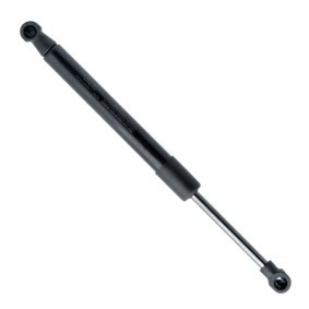 Heckklappendämpfer für FORD von EINPARTS