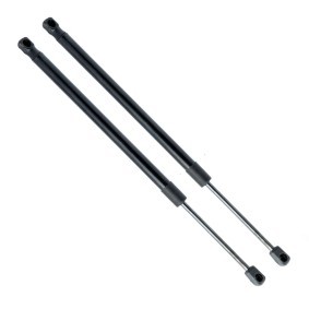 Gasfeder, Heckscheibe EP9151GS von EINPARTS günstig für 15,50 € online kaufen