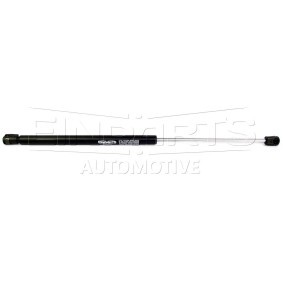 Heckklappendämpfer für FORD von EINPARTS