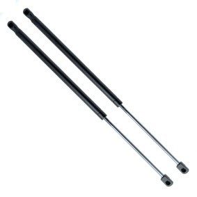 Gasfeder, Heckscheibe EP9156GS von EINPARTS günstig für 12,67 € online kaufen