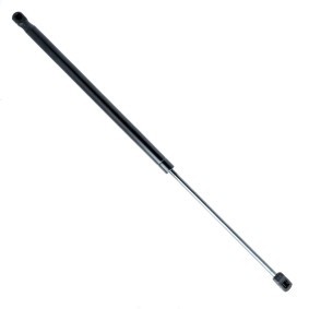 Heckklappendämpfer EP9170GS von EINPARTS günstig für 11,69 € online kaufen