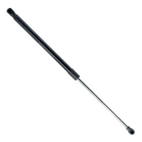 Comprar Amortiguador de maletero de EINPARTS EP9197GS a bajo precio de 13,98 €